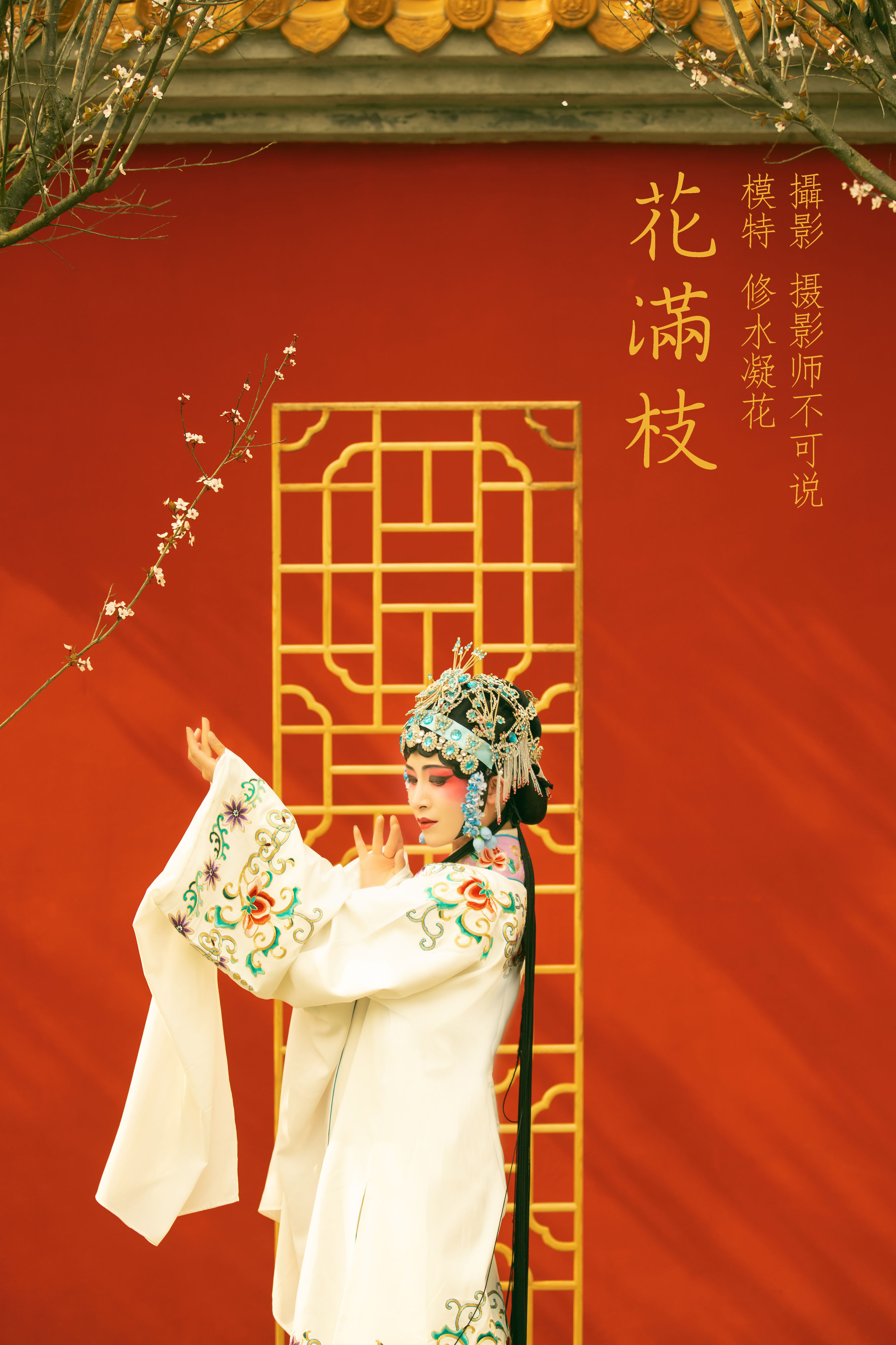 摄影师不可说_修水凝花《花满枝》美图作品图片1