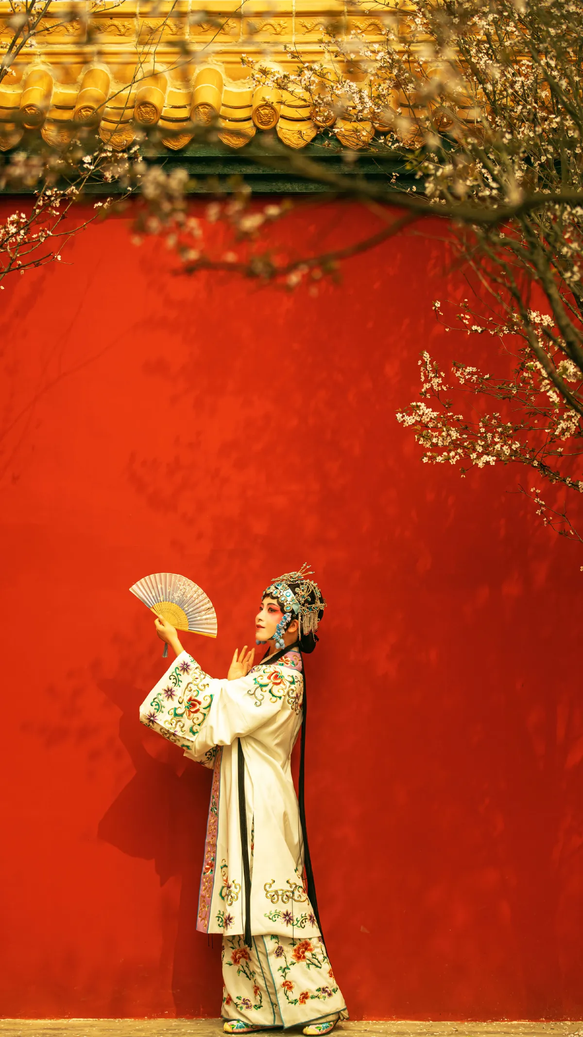 花满枝1