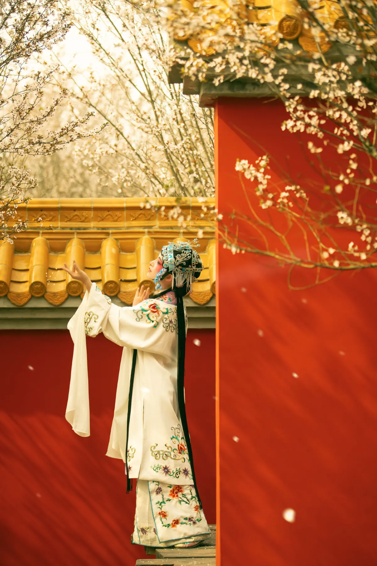 花满枝3