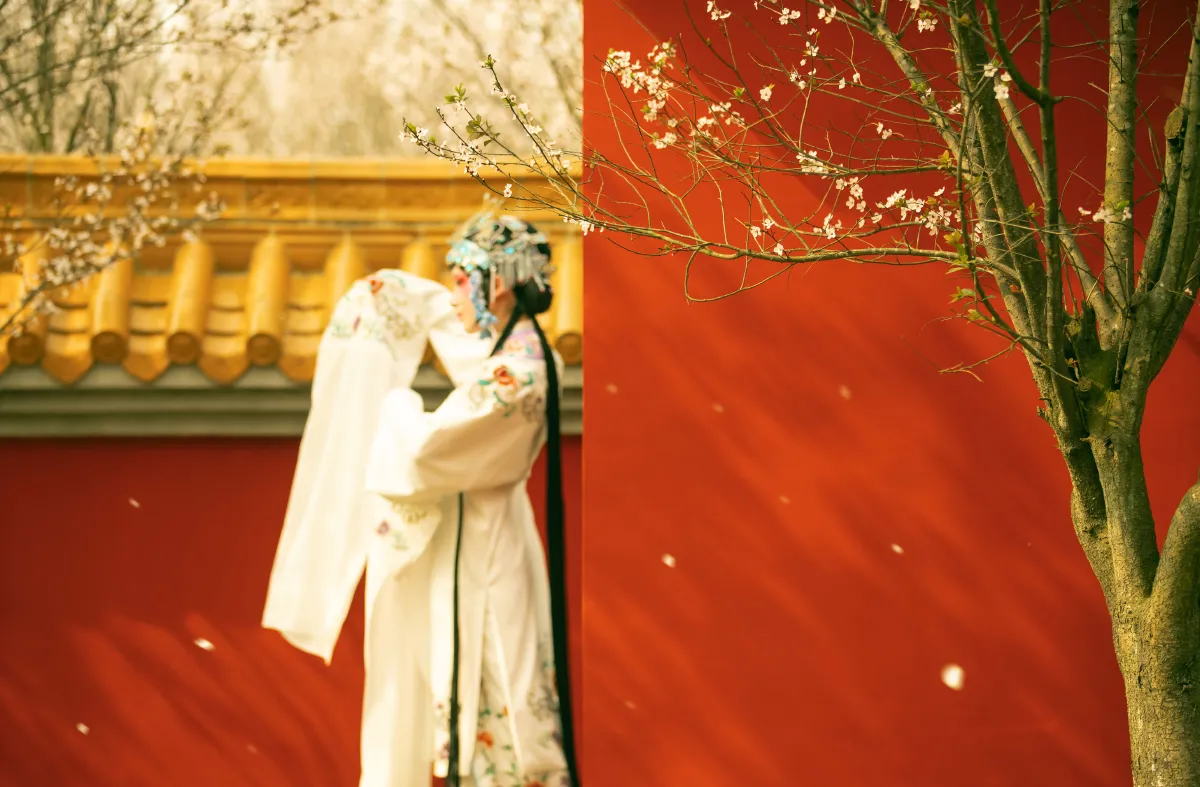 花满枝
