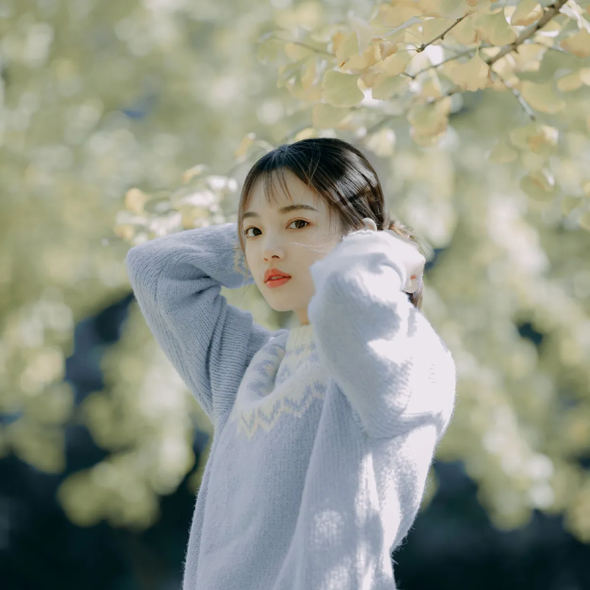 蓝色的银杏1