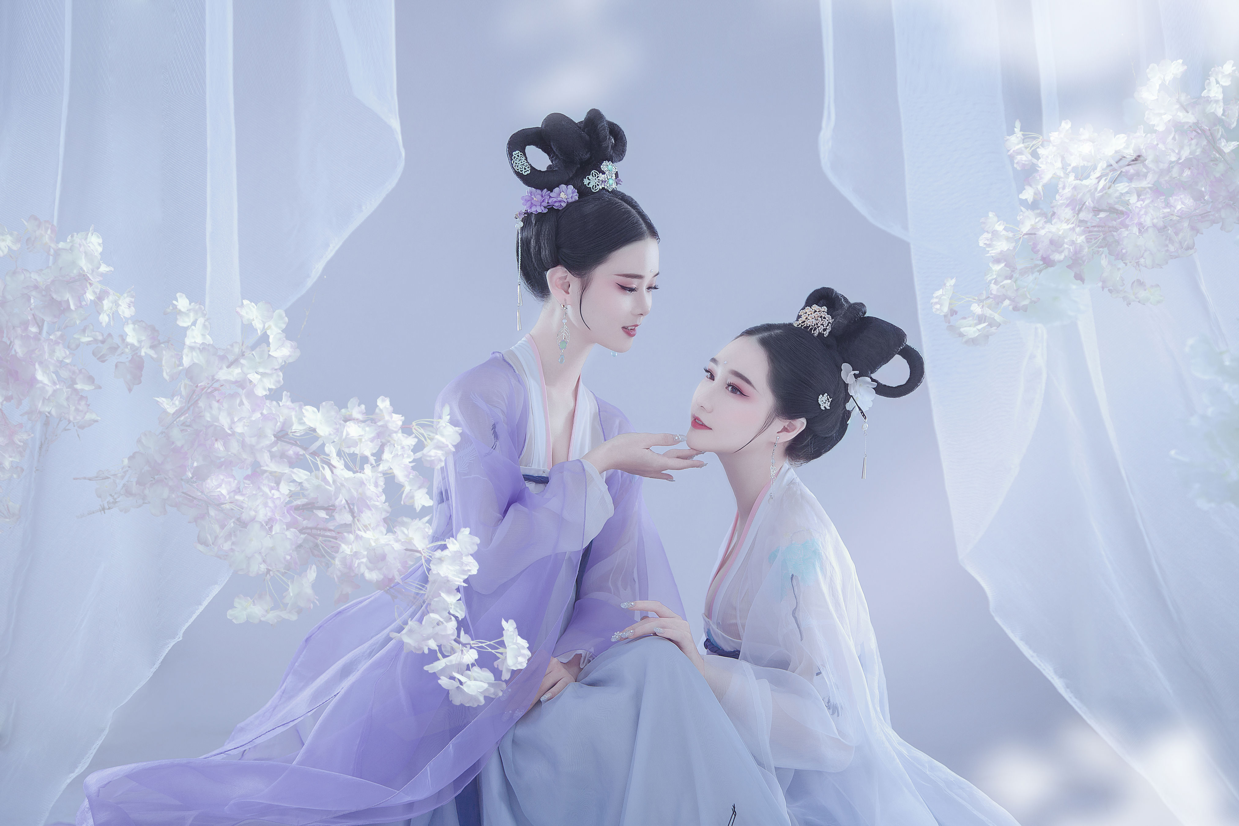 绣幕芙蓉