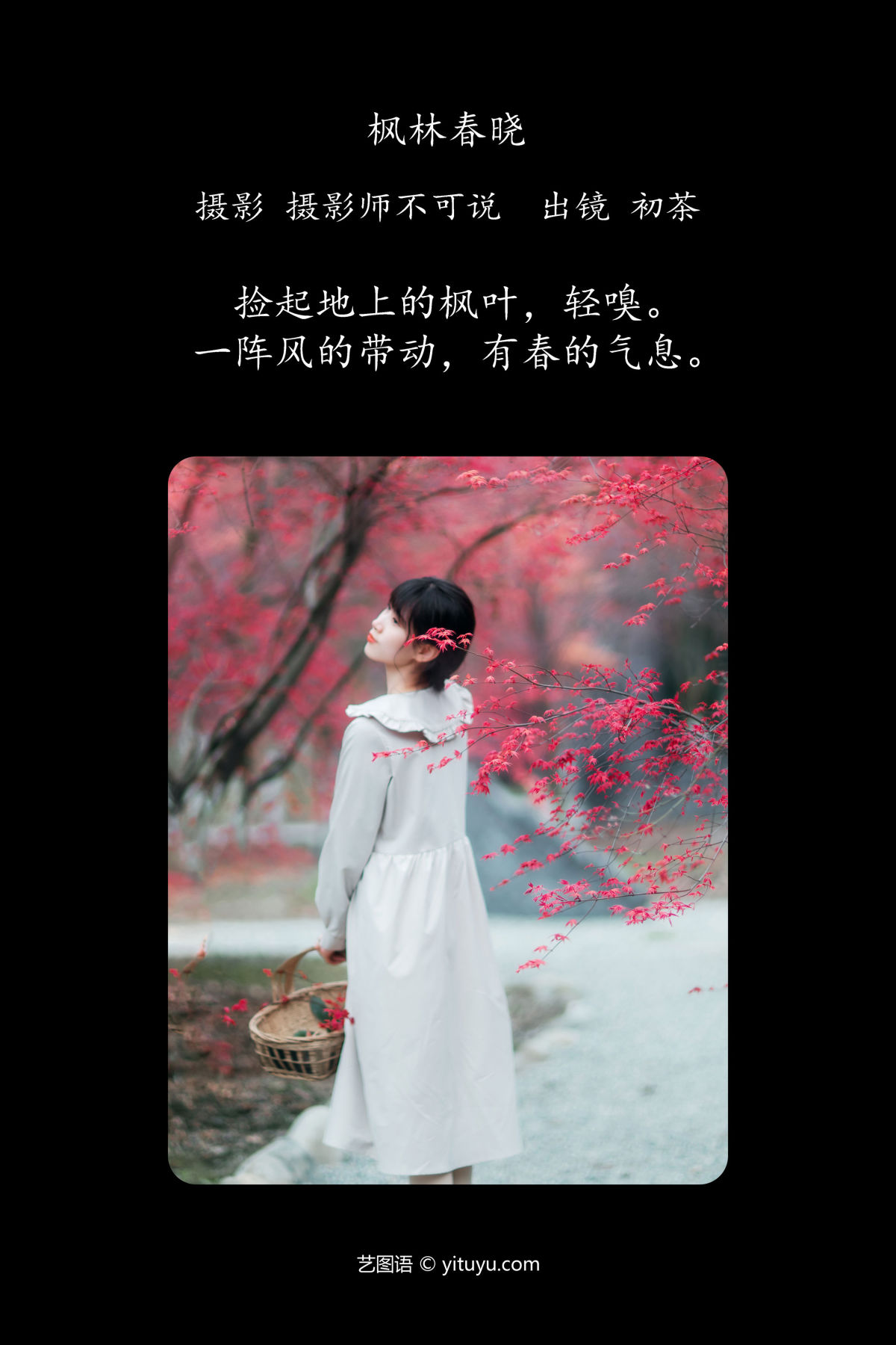 摄影师不可说_初茶《枫林春晓》美图作品图片2