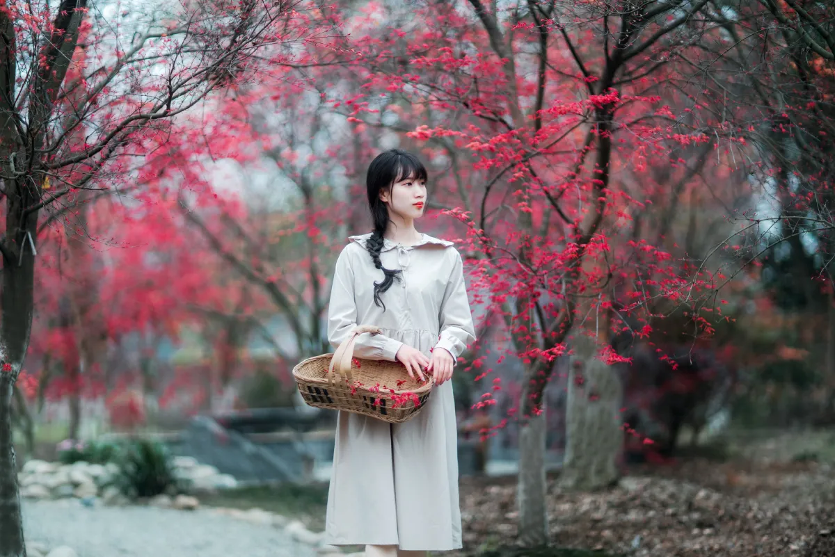 枫林春晓