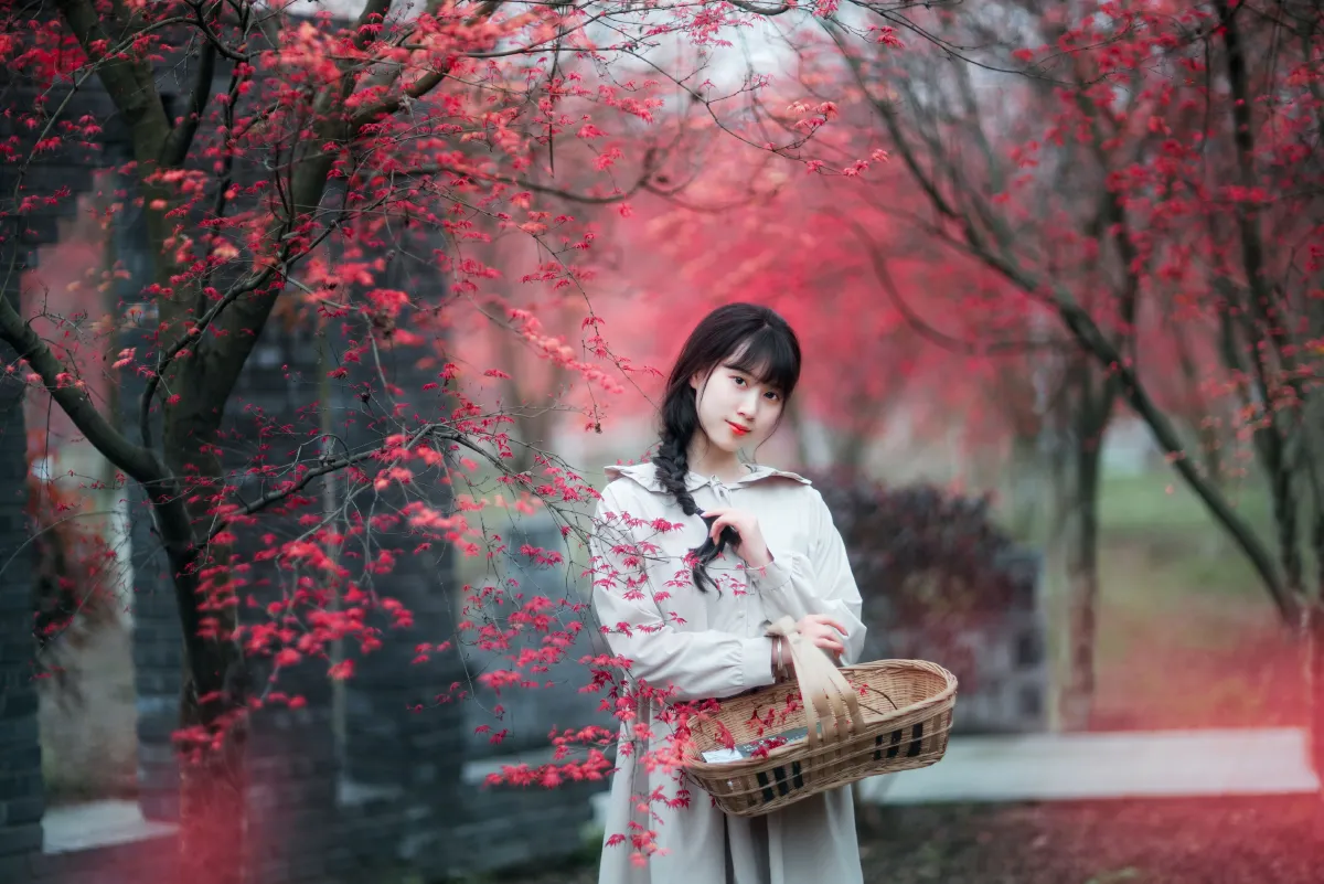 枫林春晓1