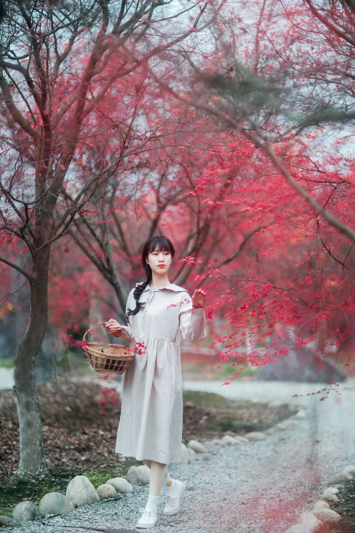 枫林春晓3