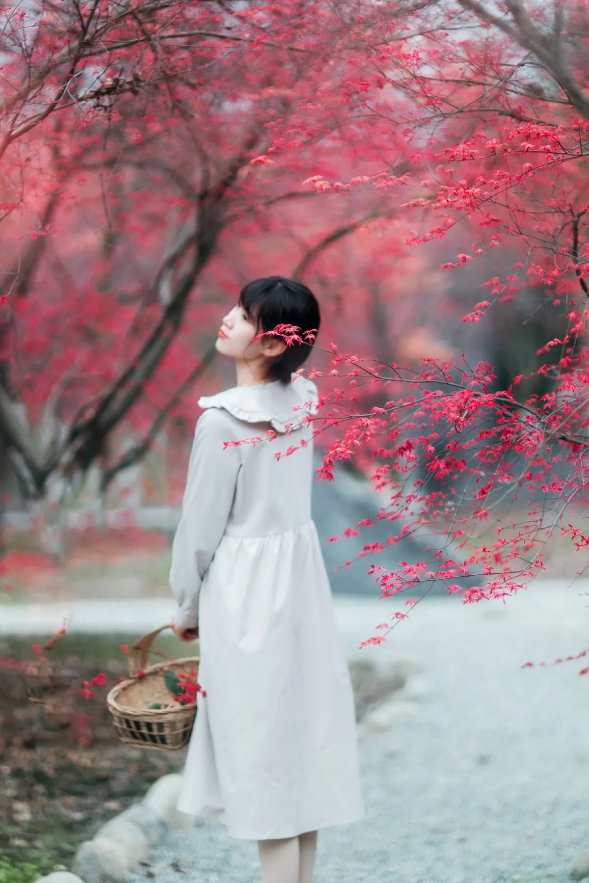 枫林春晓