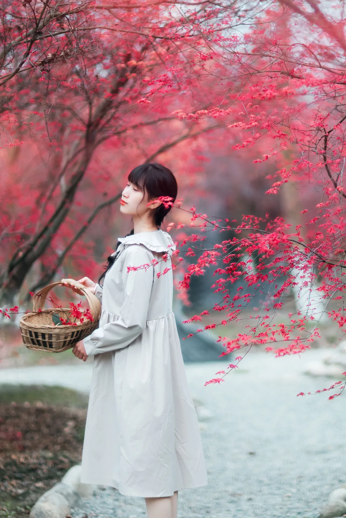 枫林春晓