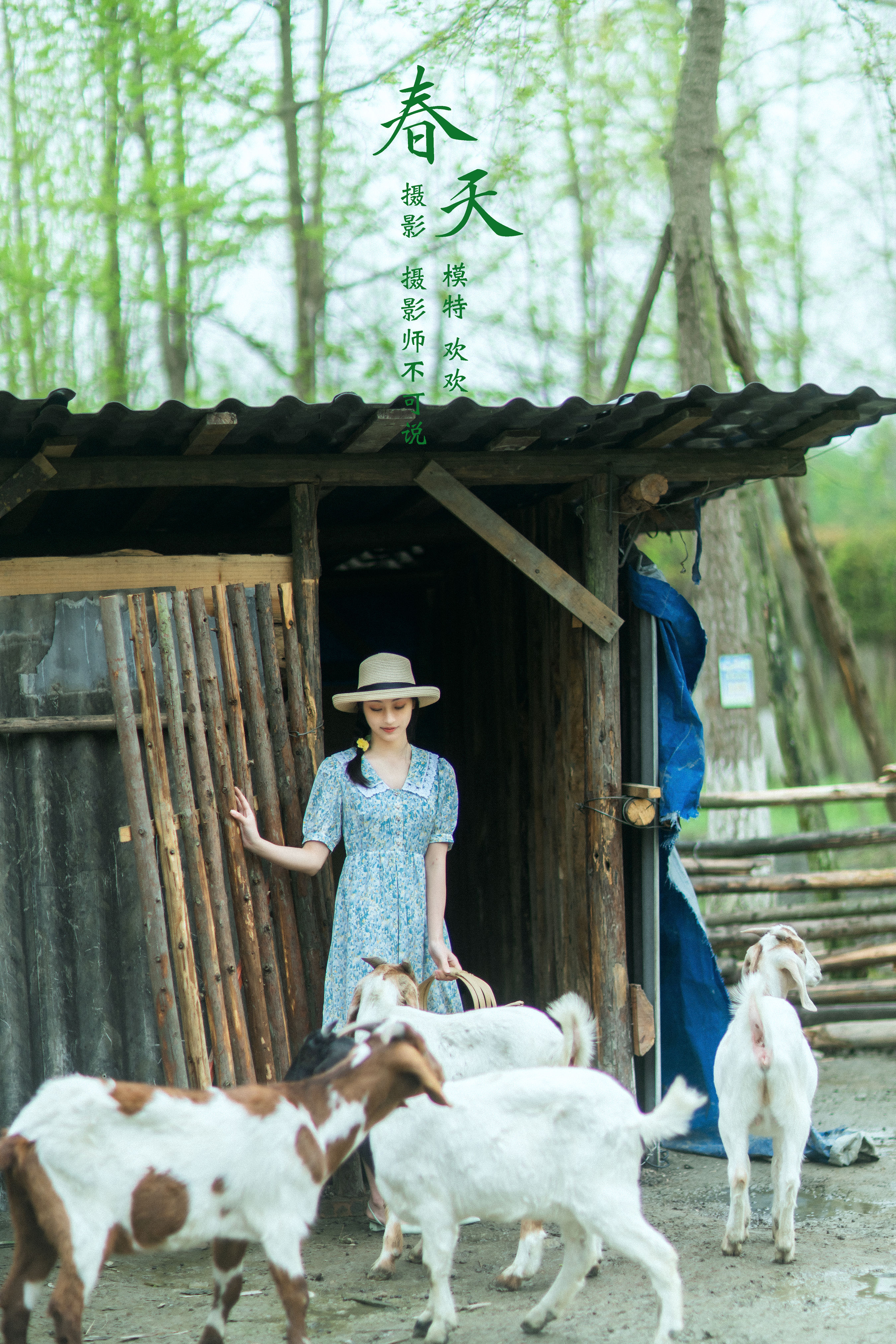 摄影师不可说_欢欢《春天》美图作品图片1