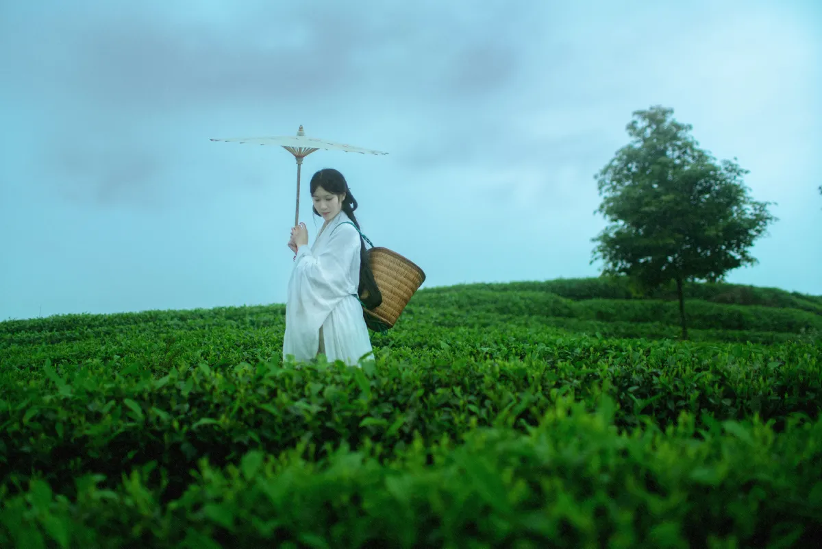 空山灵雨