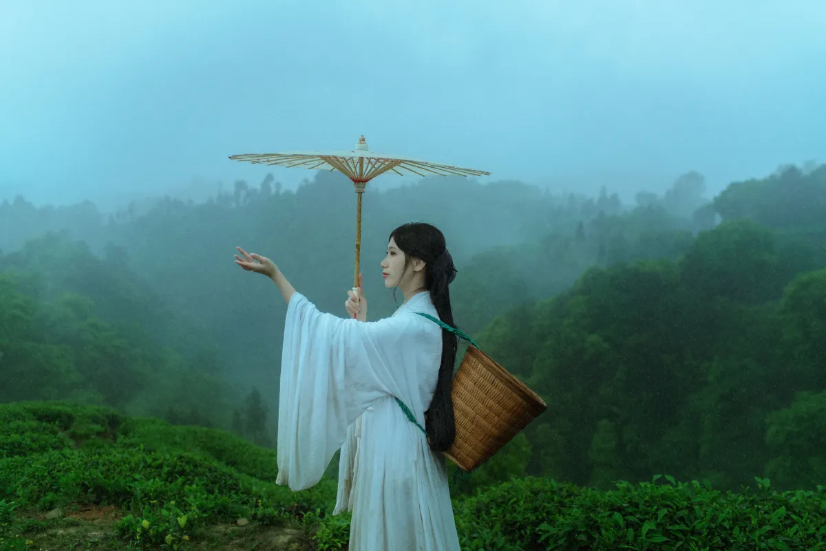 摄影师不可说_初茶《空山灵雨》美图作品图片4