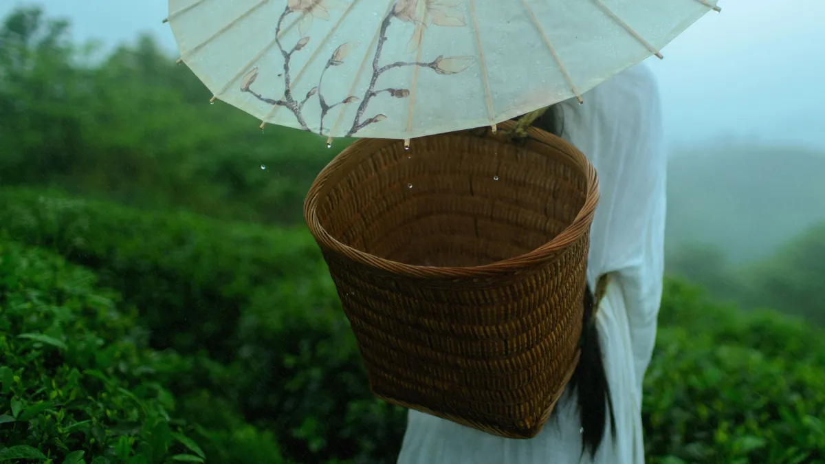 空山灵雨