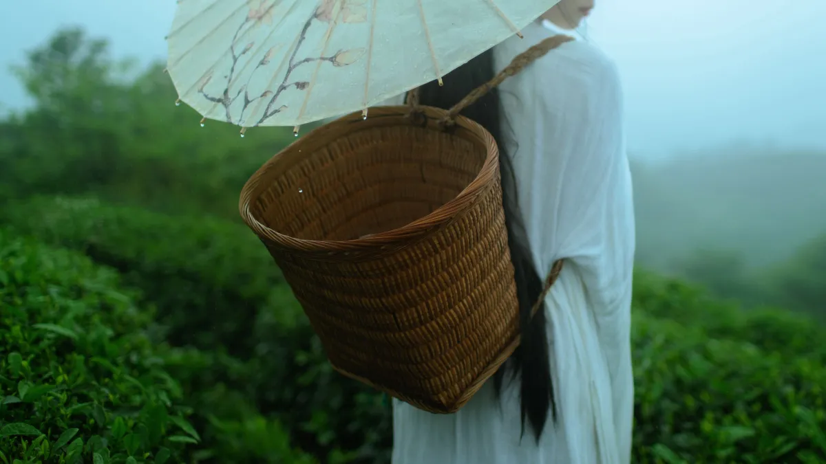 空山灵雨