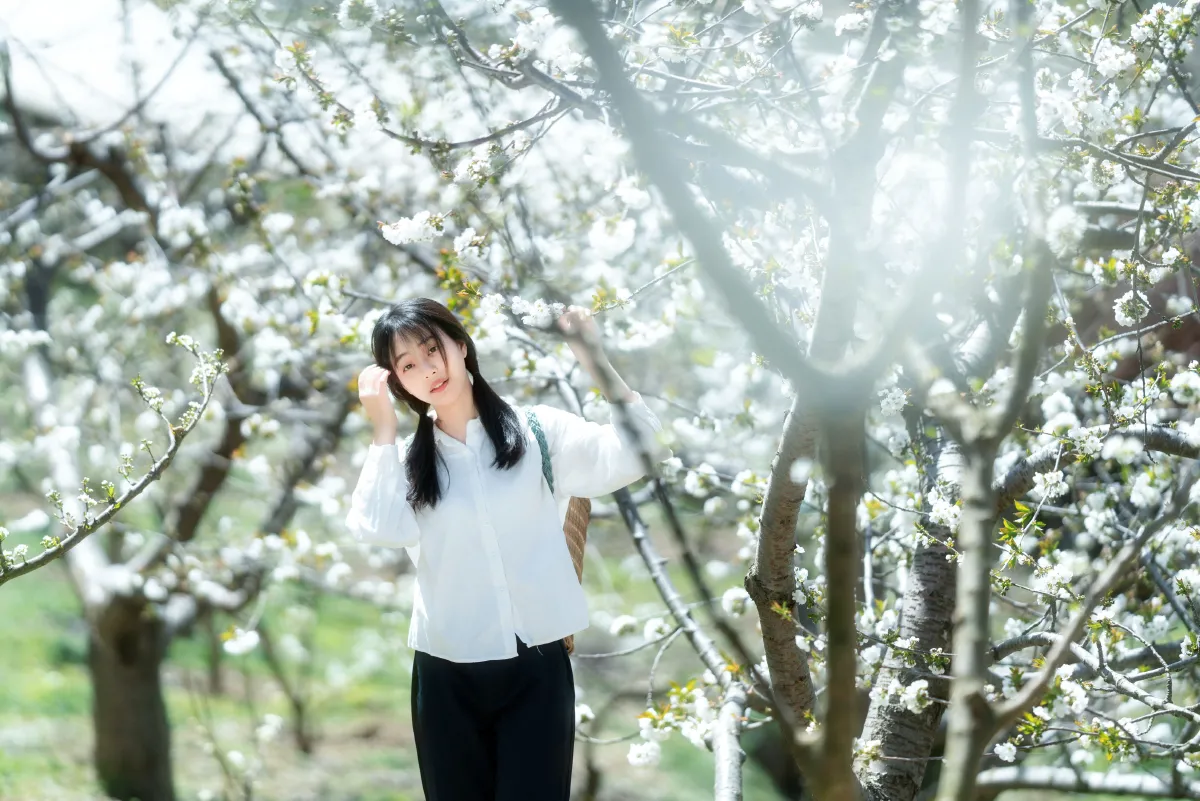 故乡的小燕子