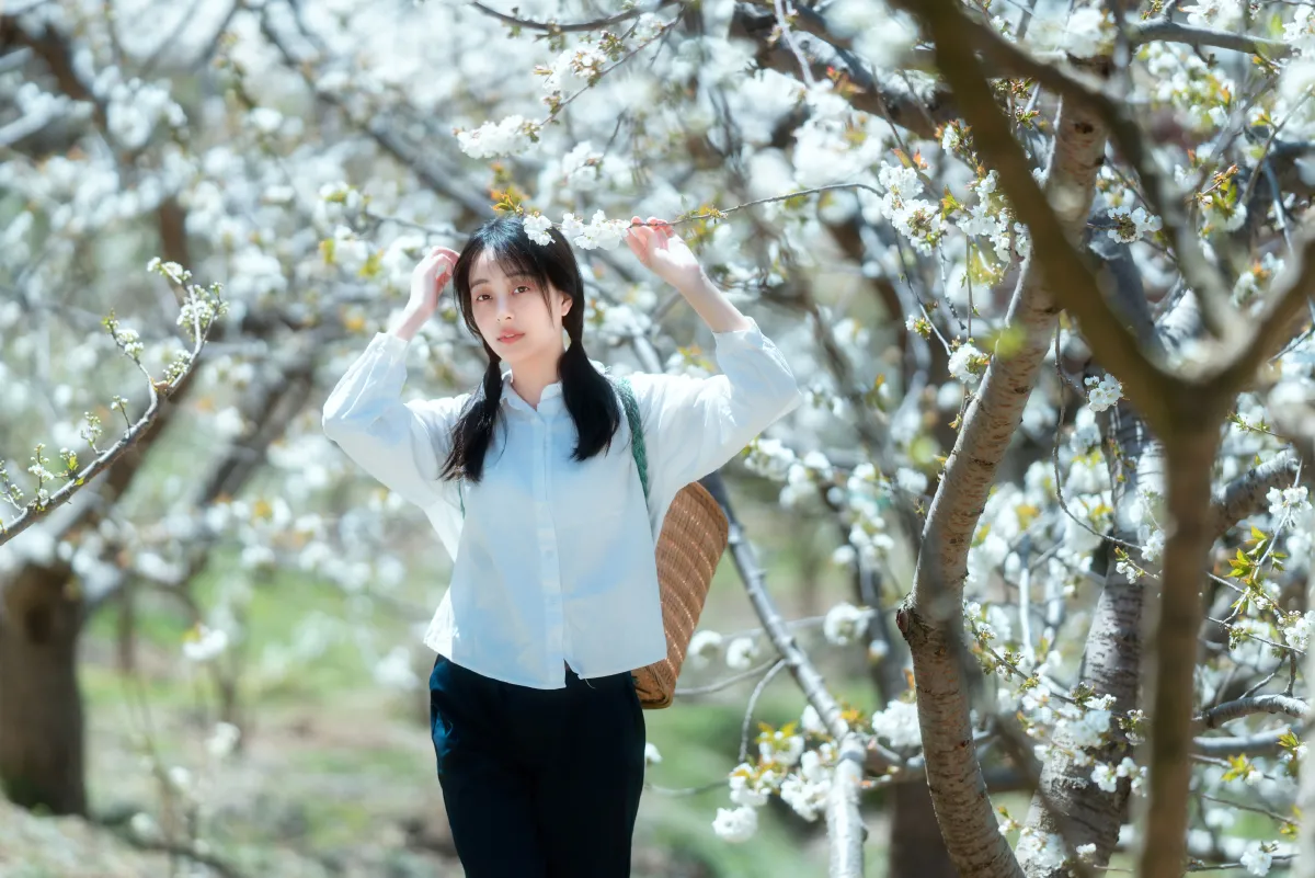 故乡的小燕子