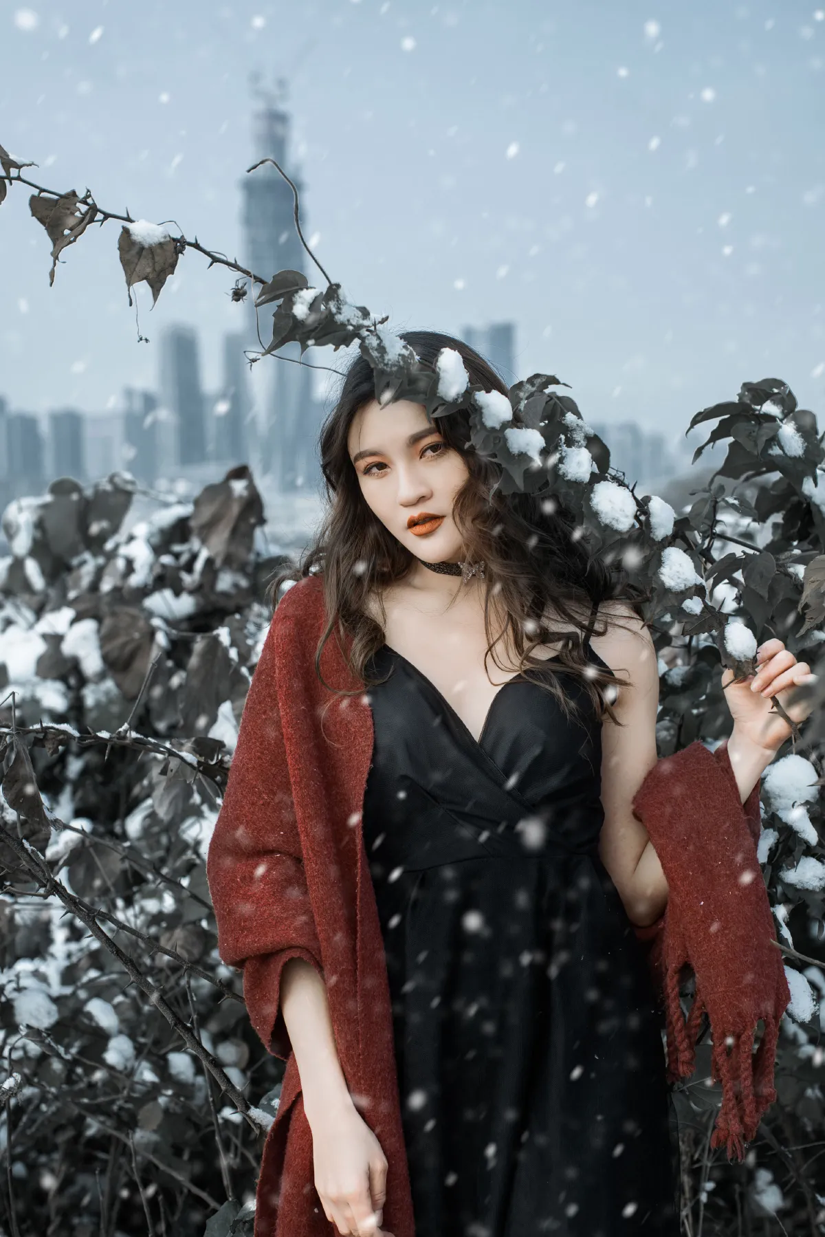 THE SNOW CITY