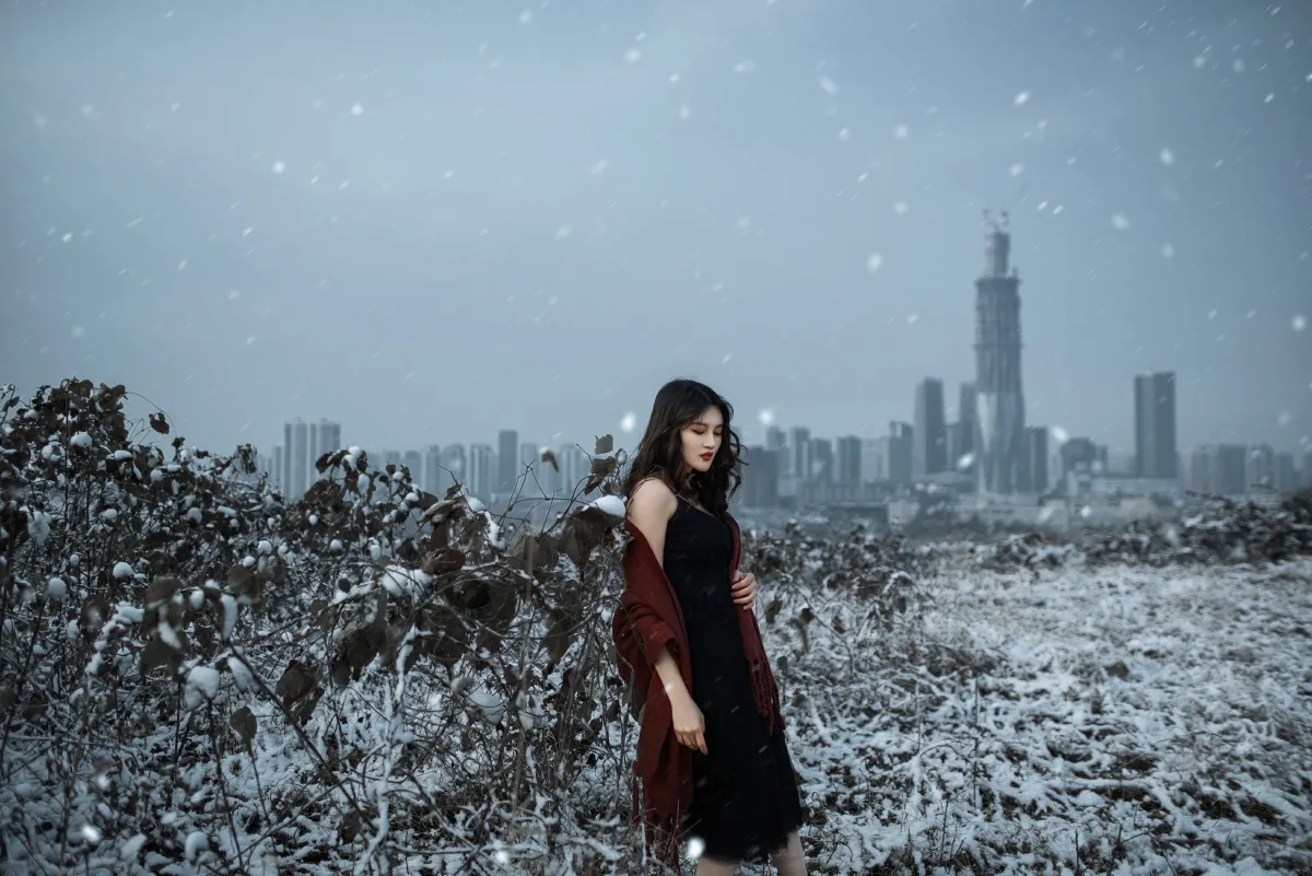 THE SNOW CITY1