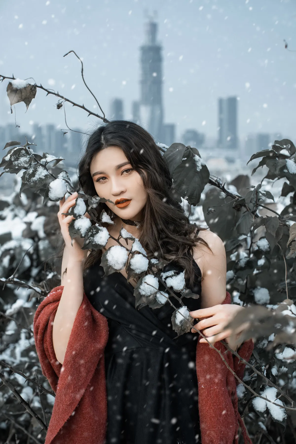 THE SNOW CITY
