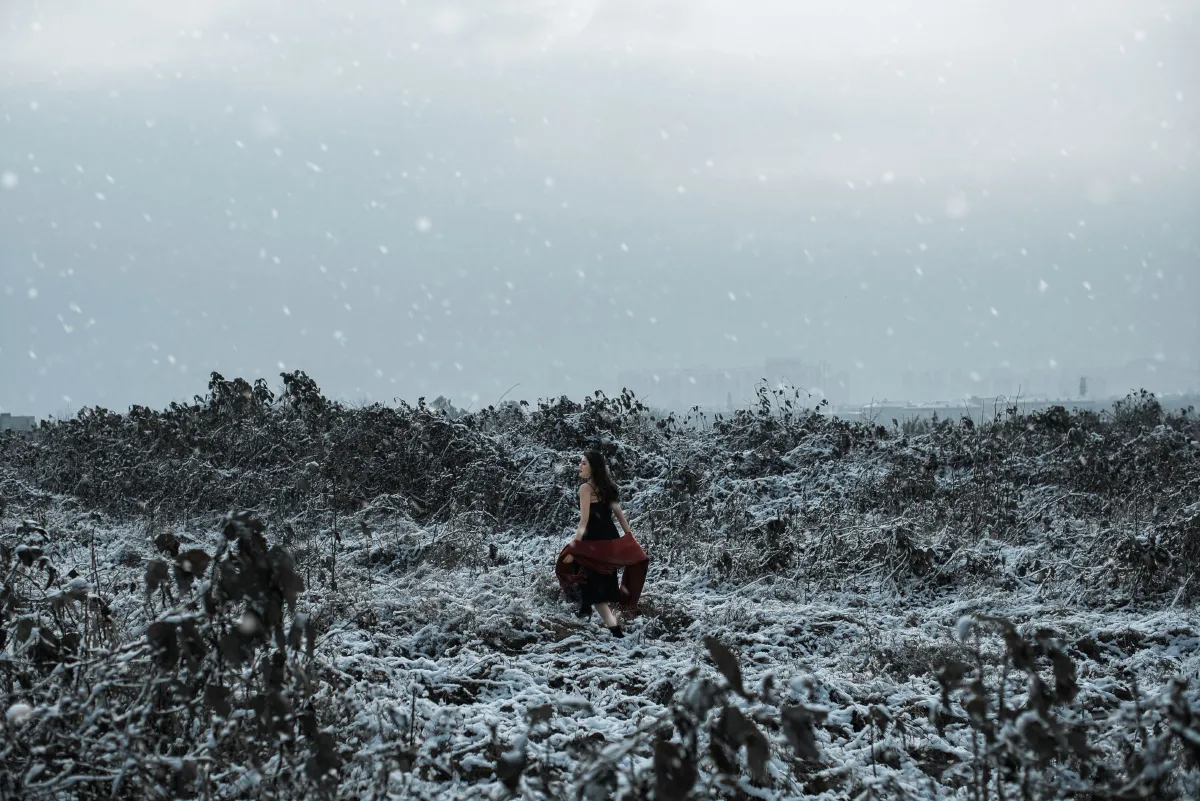 THE SNOW CITY
