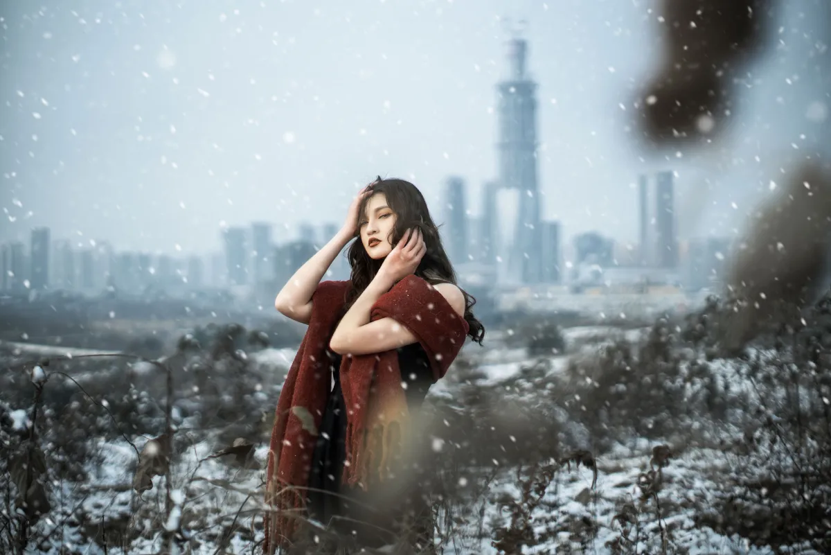 THE SNOW CITY