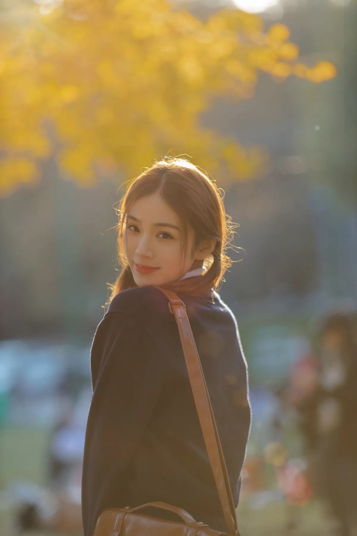 秋天，陪你一起看银杏3
