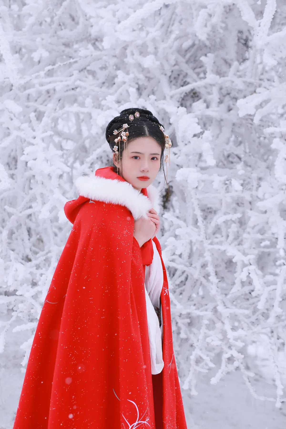 大雪