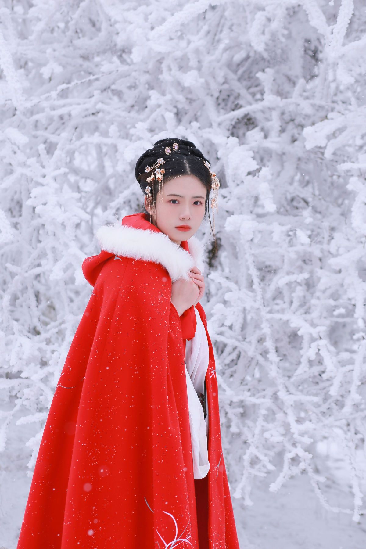 大雪1