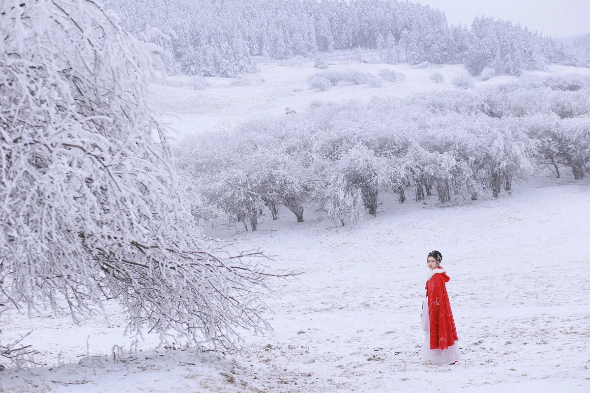 大雪