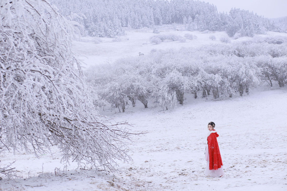 苏墨Taro_沂越《大雪》美图作品图片4