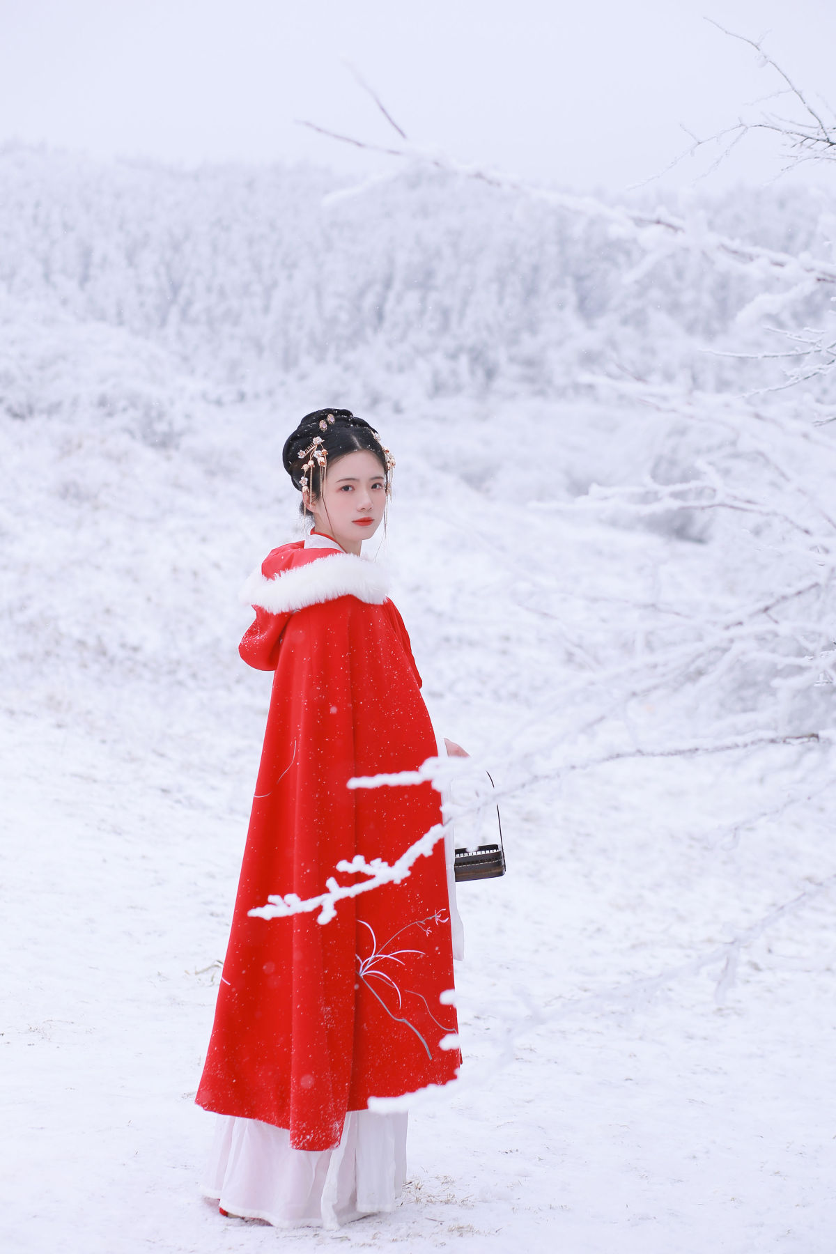 大雪3