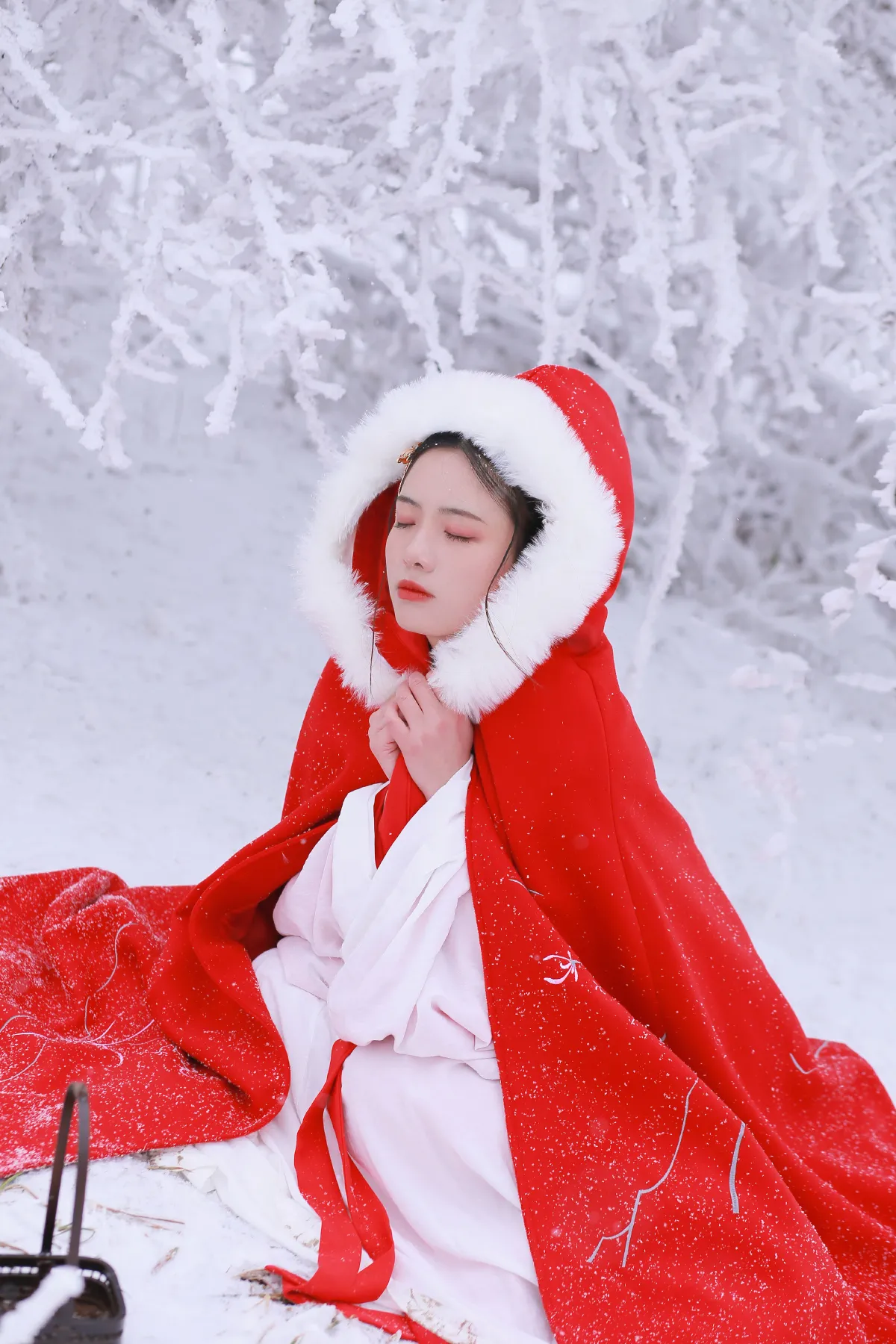 大雪