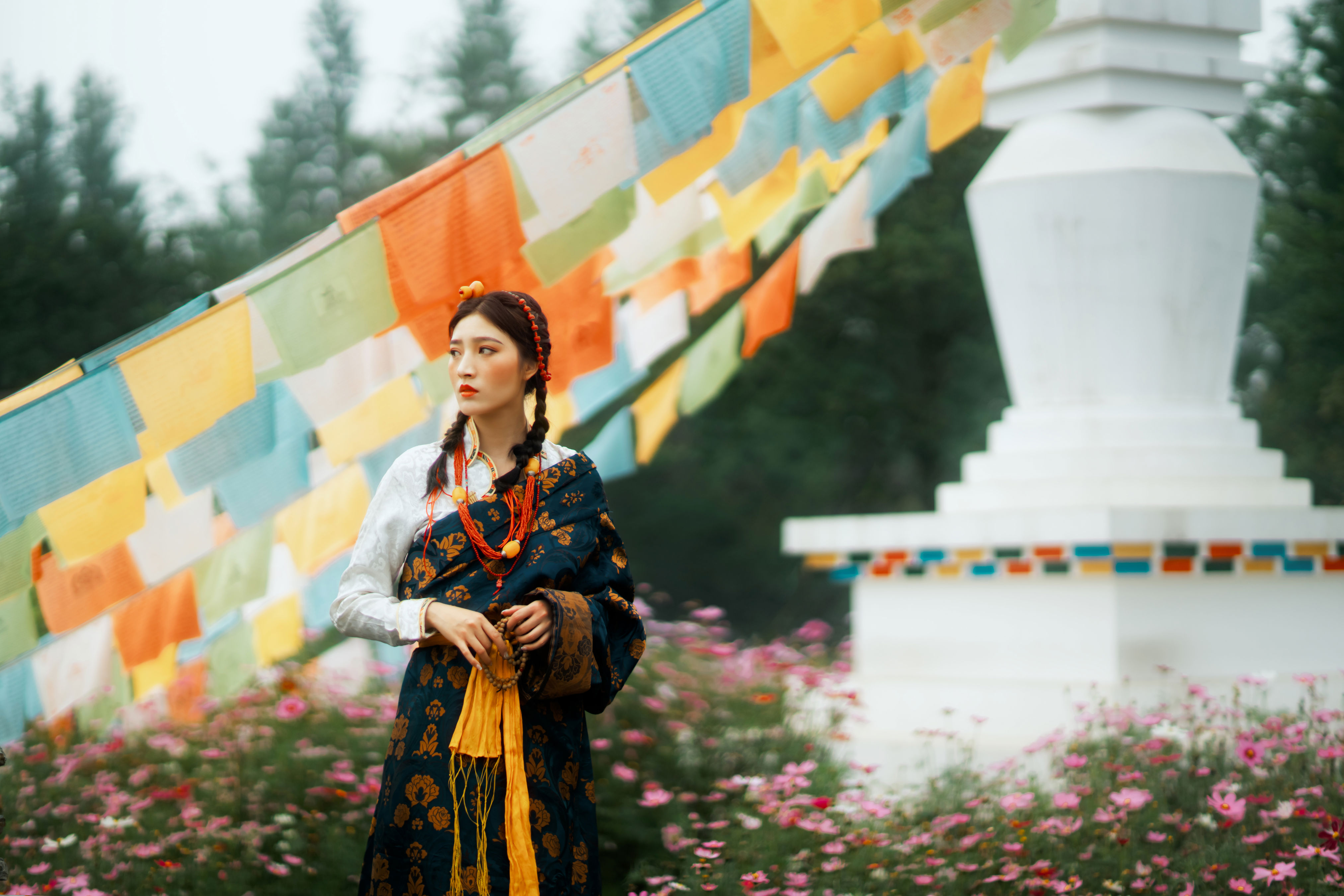 格桑花开
