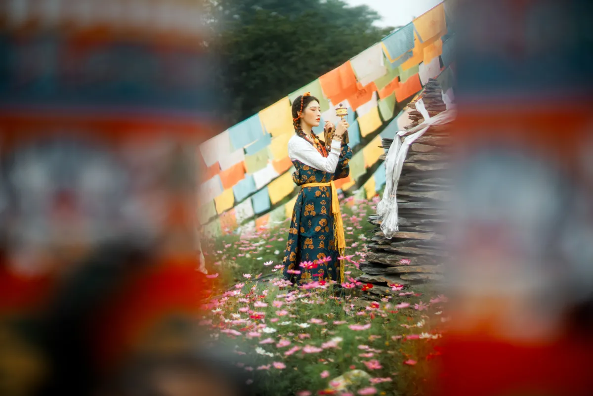 格桑花开3