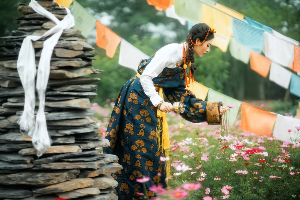 格桑花开