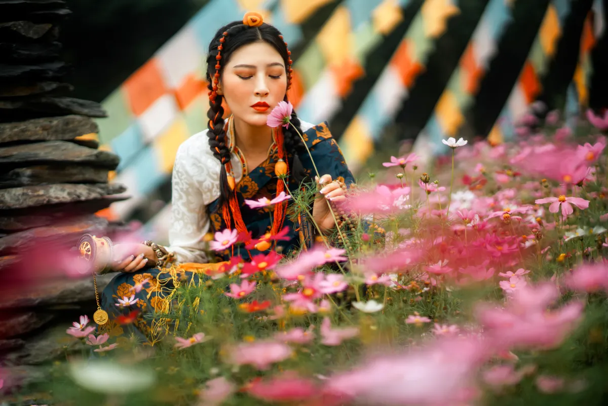 格桑花开