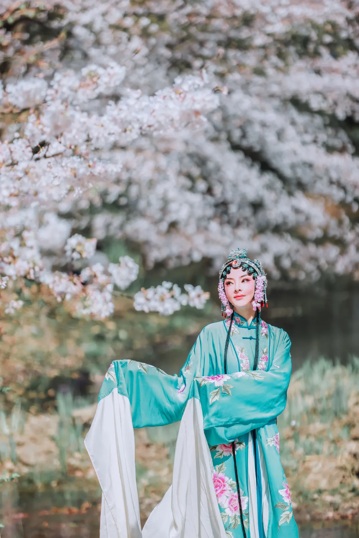 樱花有戏1