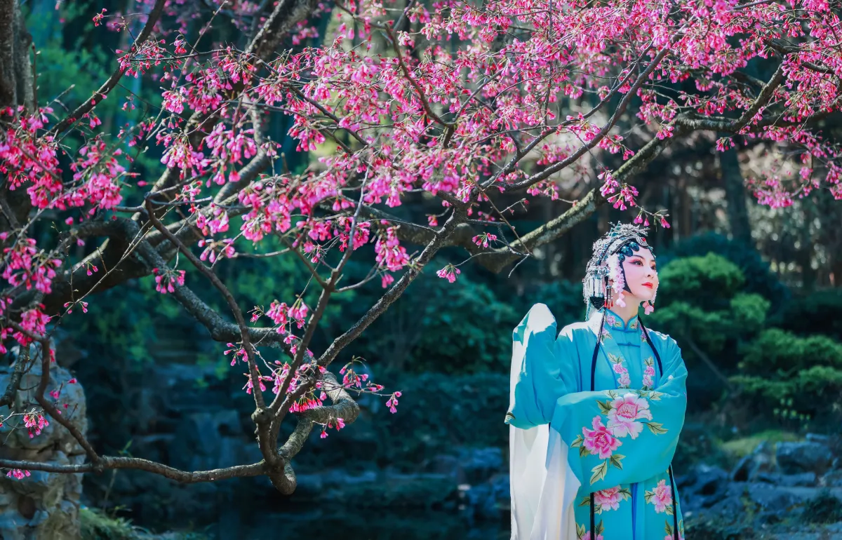 樱花有戏