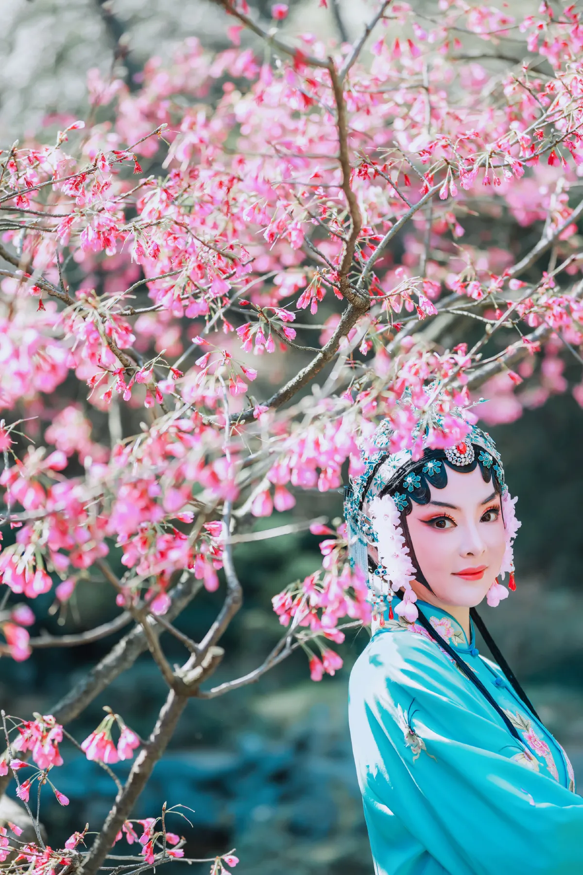 樱花有戏