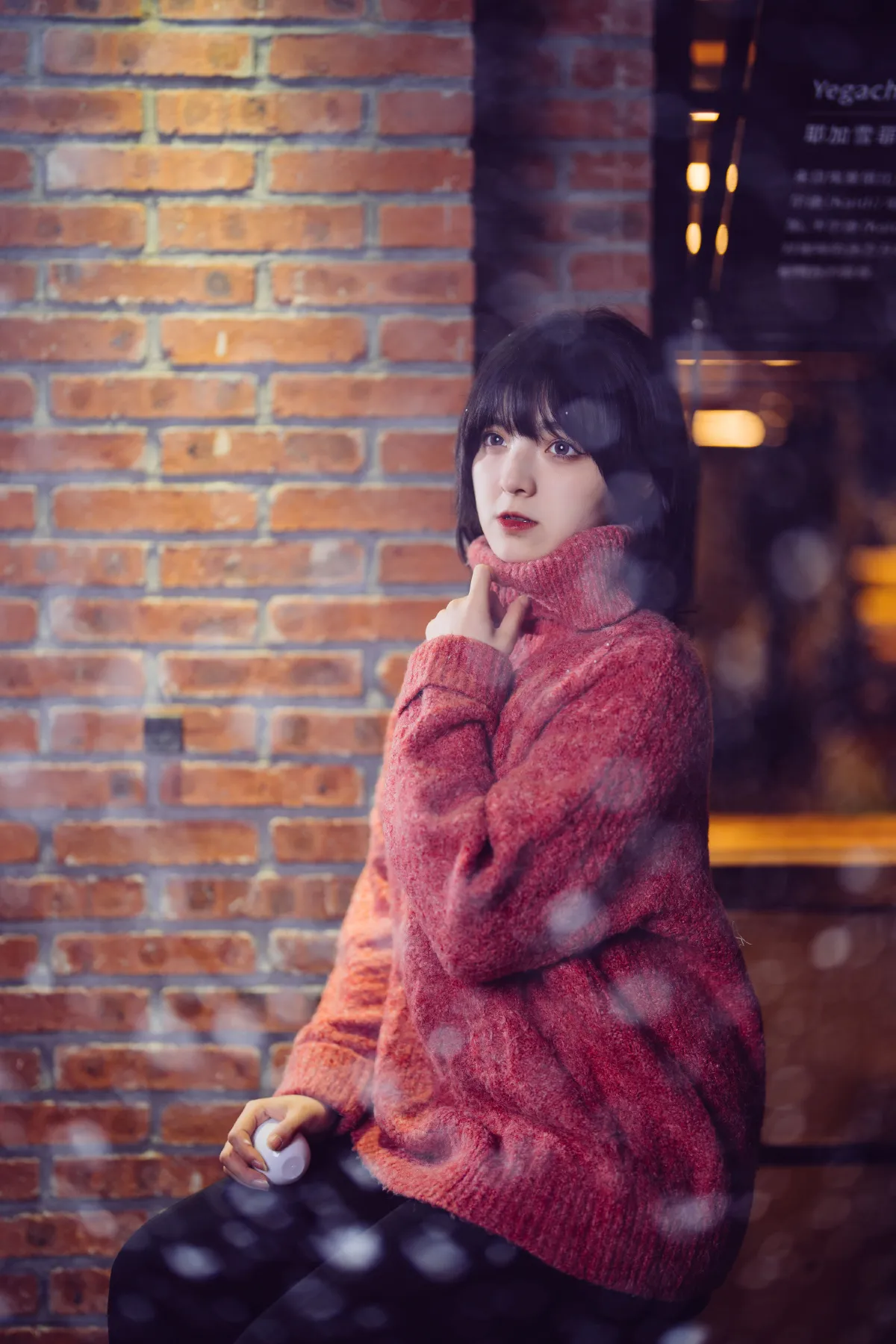 南方姑娘的白雪梦1