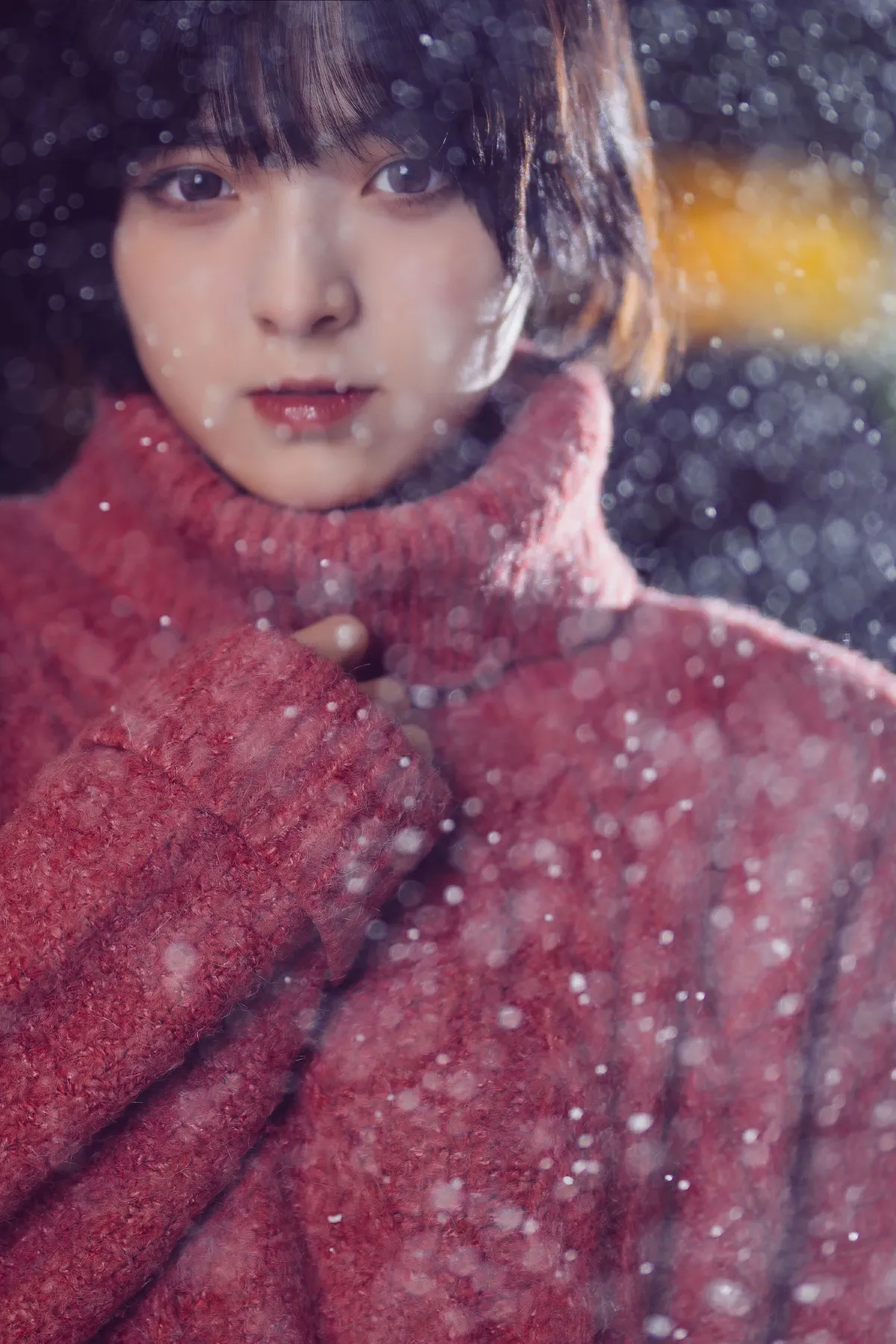 南方姑娘的白雪梦