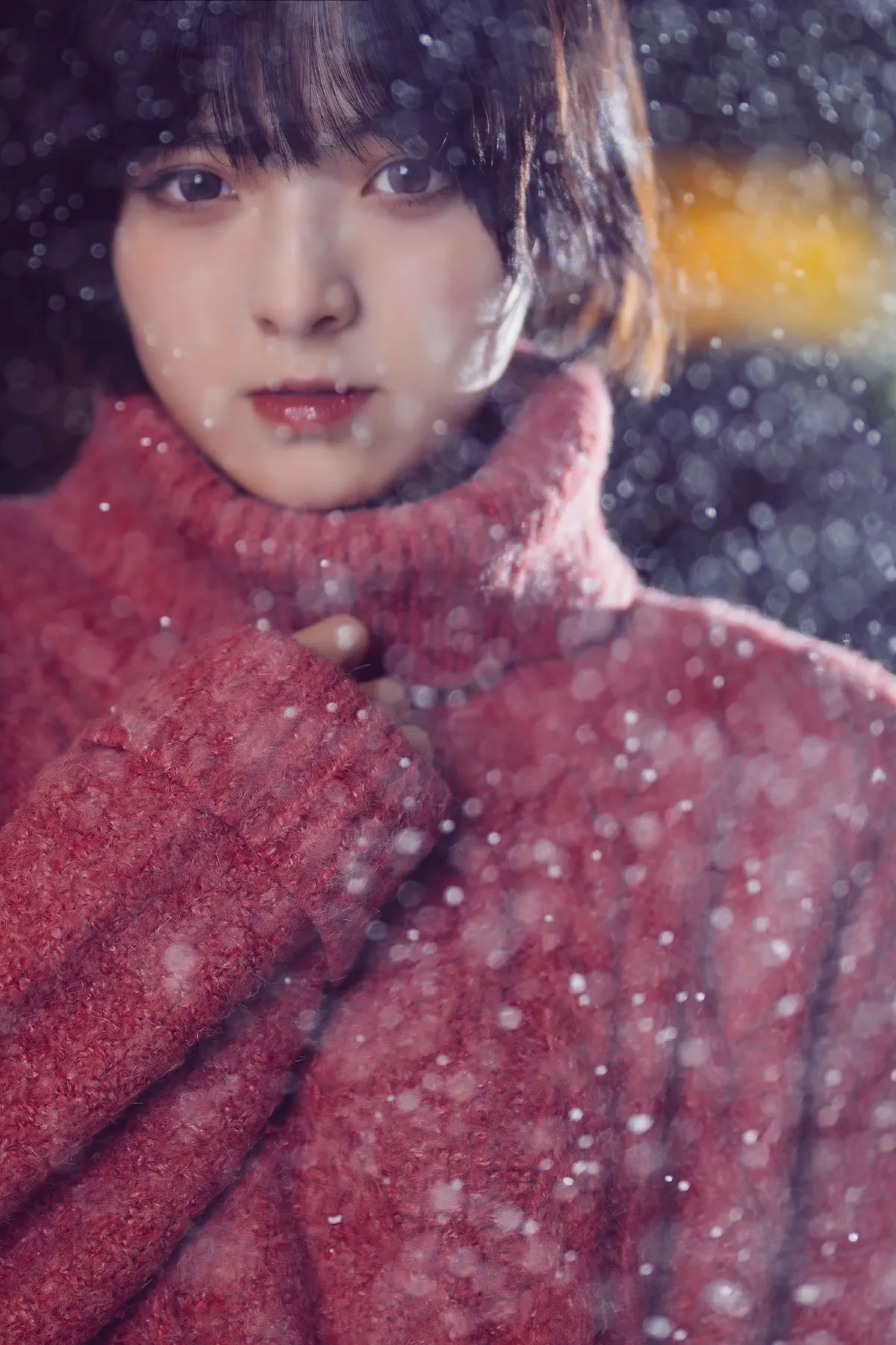 南方姑娘的白雪梦3