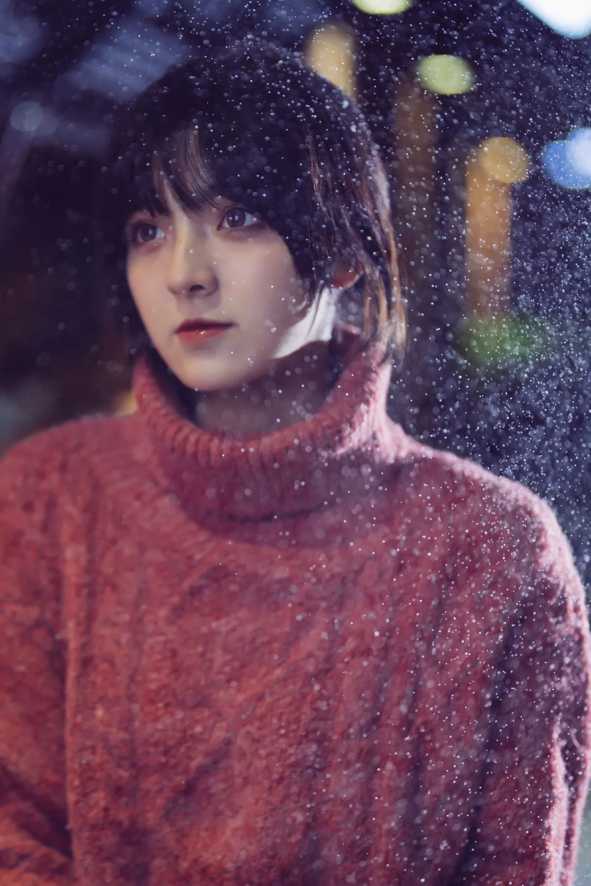 南方姑娘的白雪梦