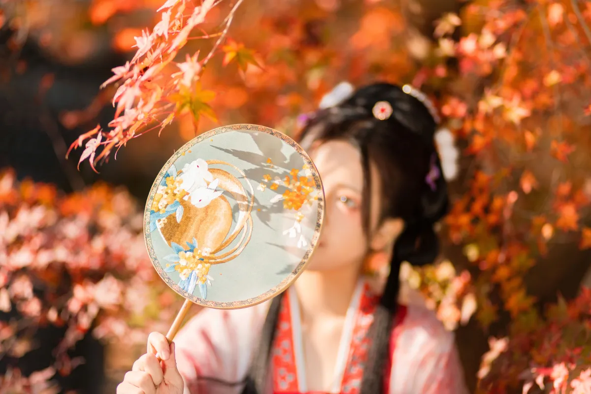 枫林晚