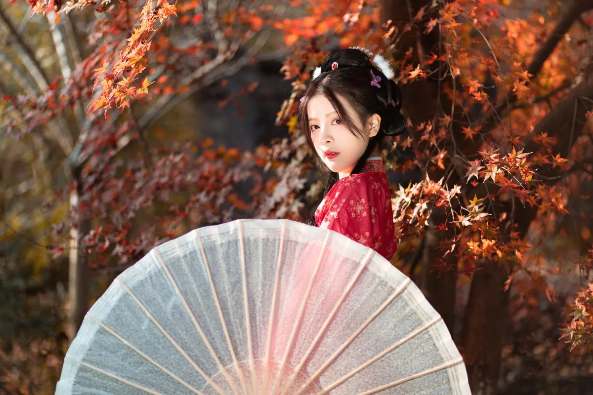 枫林晚