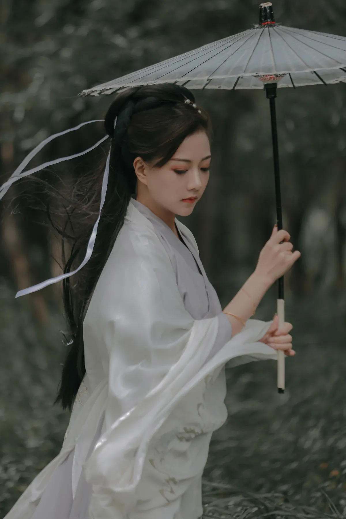 柳扶风1