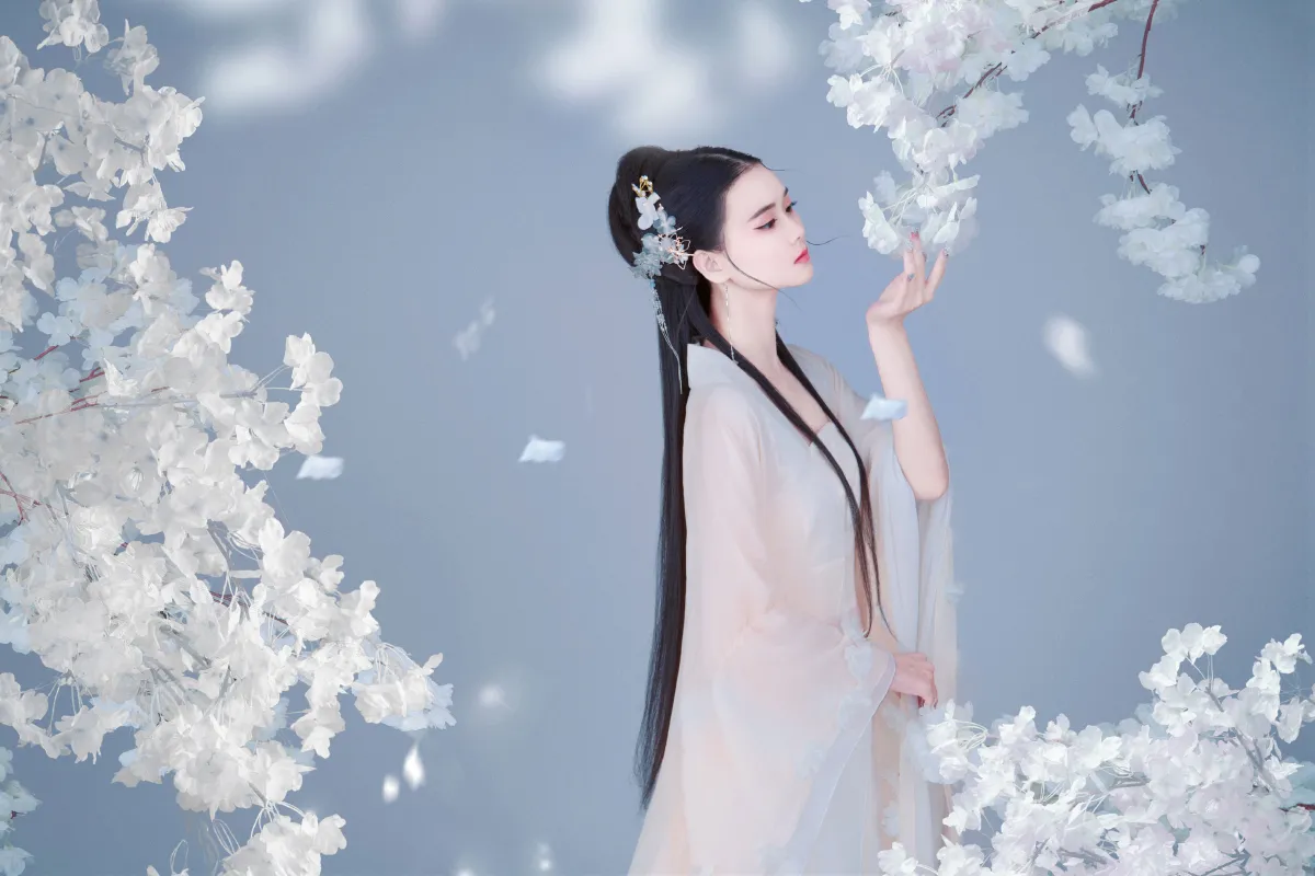 樱花落