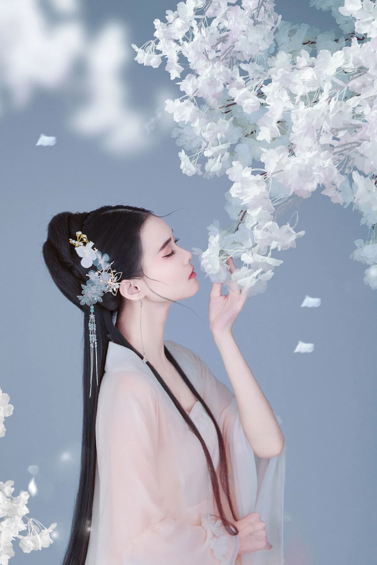 樱花落