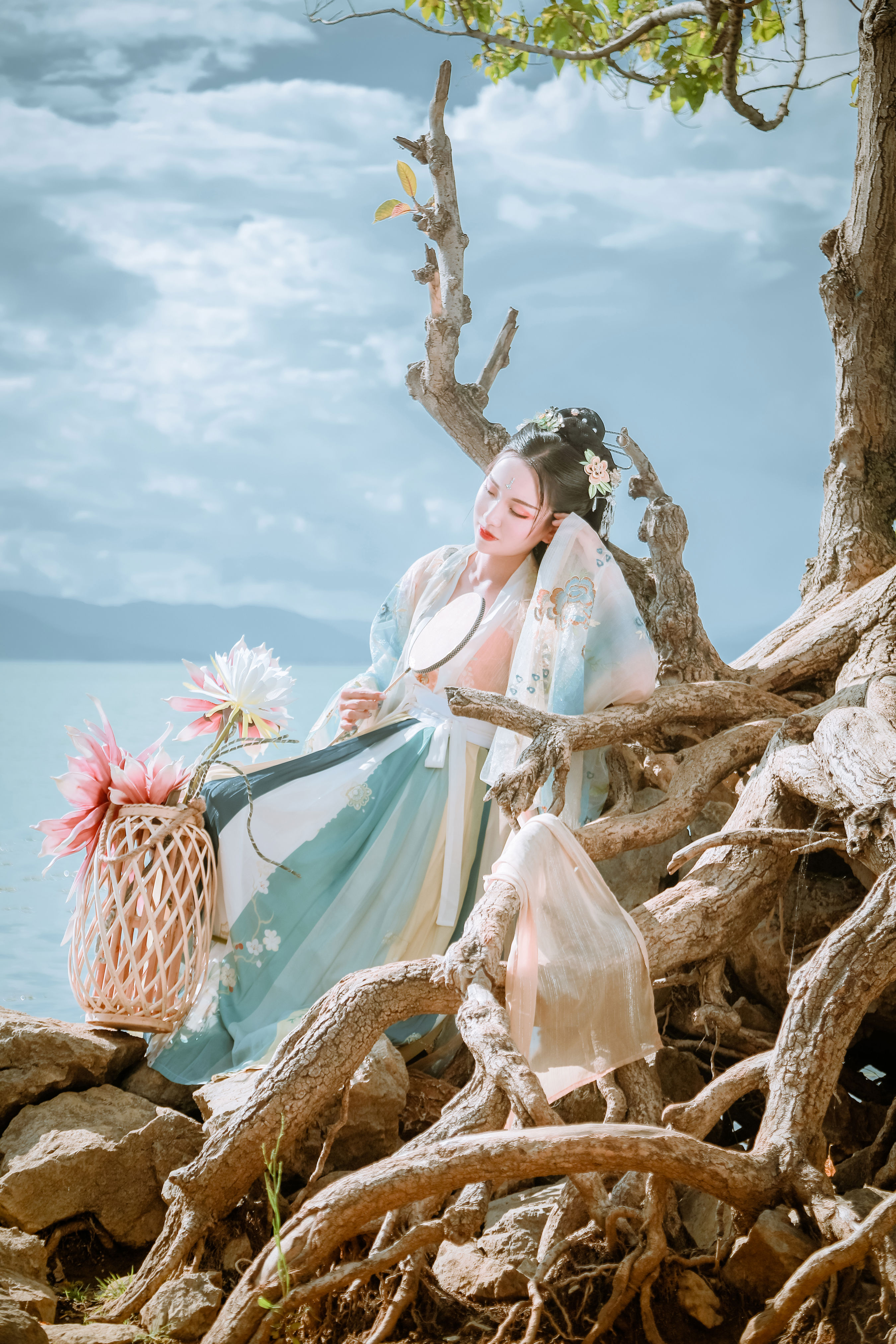 清水出芙蓉