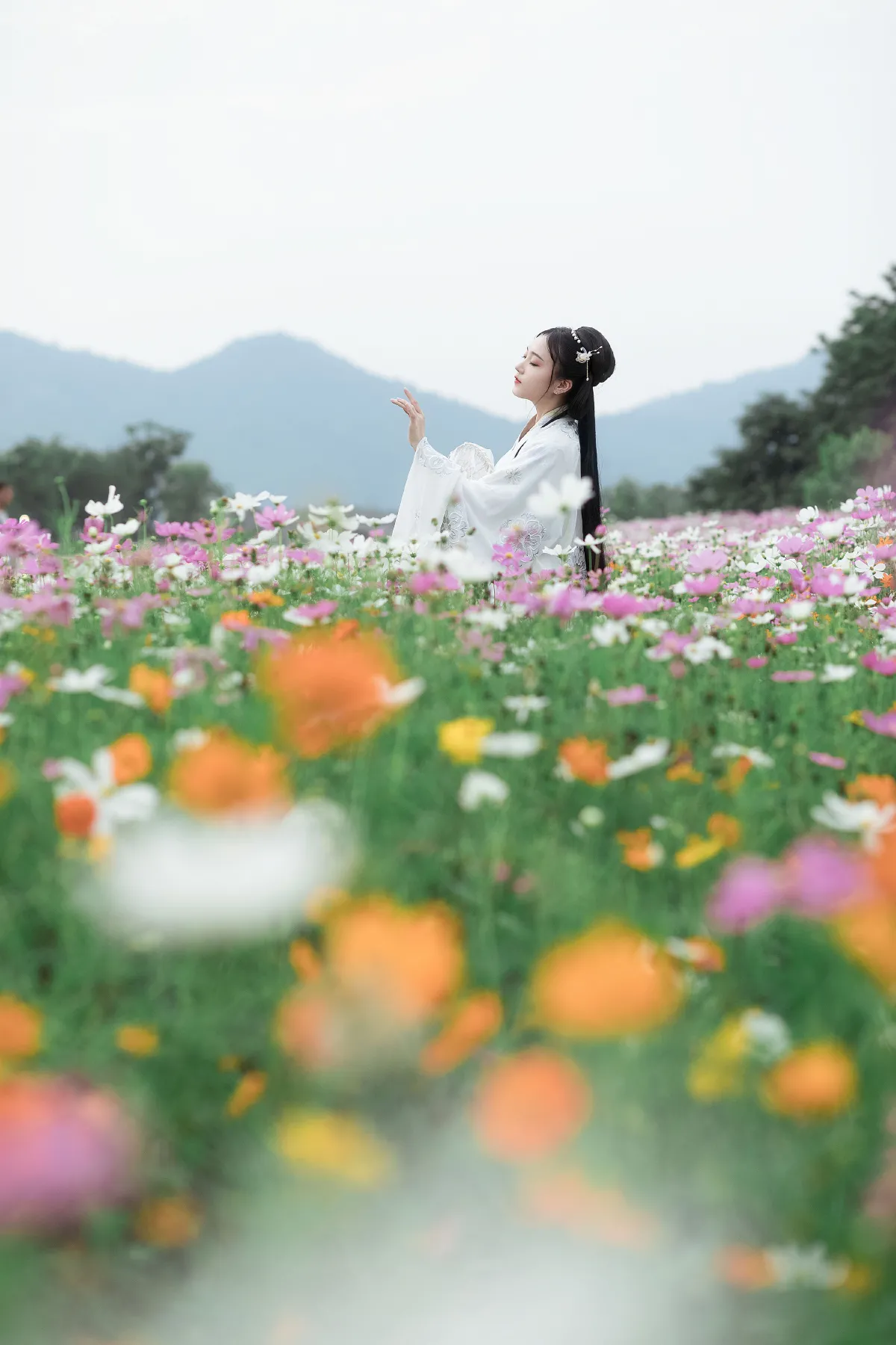 点墨纤尘_芋圆圆鹅《山河远阔 人间烟火》美图作品图片3