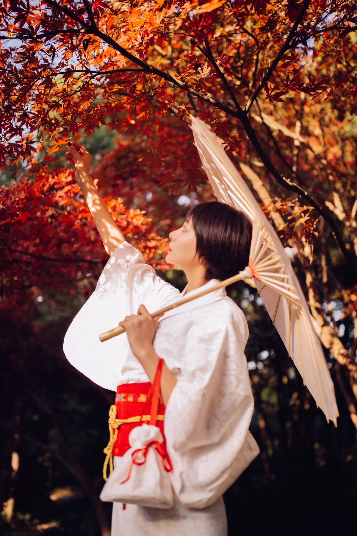 枫